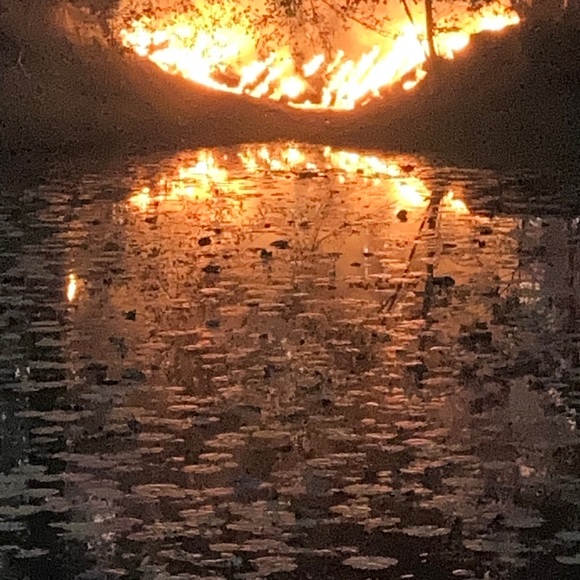 Meet your Posher, Jessica - Picture 1 of 1